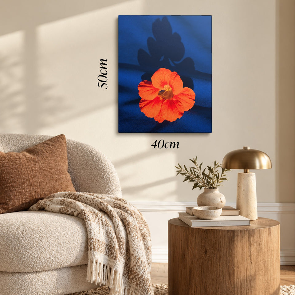 Toile Capucine accrochée dans un salon au-dessus d’un canapé, avec ses cotes 40 × 50 cm