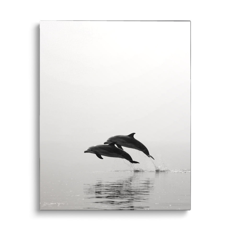 Toile Les Dauphins vue de face sur fond blanc : photographie noir et blanc de deux dauphins bondissant ensemble au-dessus d’une mer calme