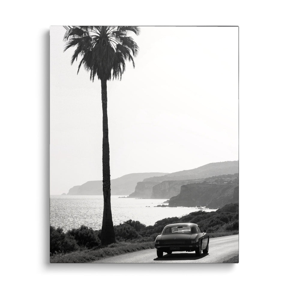 Toile Riviera vue de face sur fond blanc : photographie noir et blanc d’un palmier, d’une route de corniche et d’une voiture ancienne face à la mer